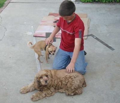 Ian petting our friend's dogs