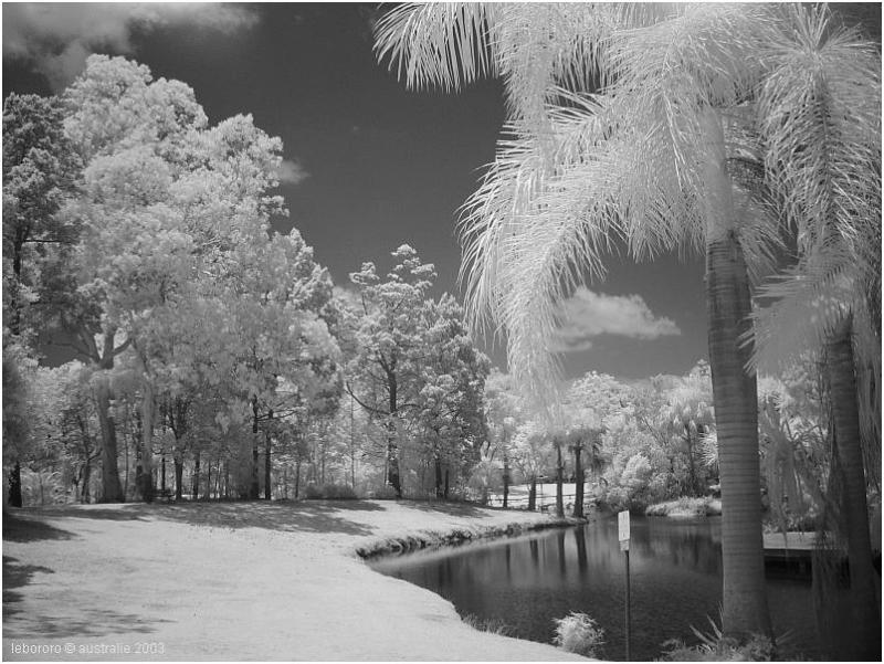 botanic IR - infrarouge au jardin