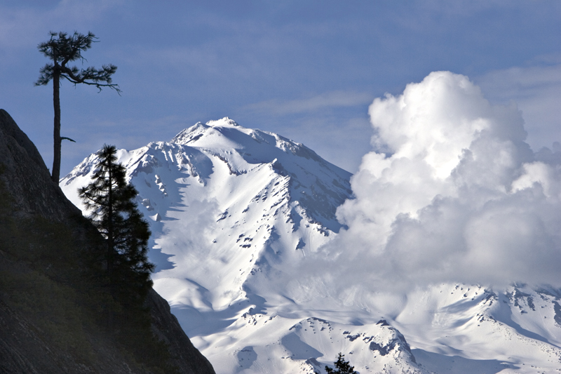 Shasta Viewed from the Crags