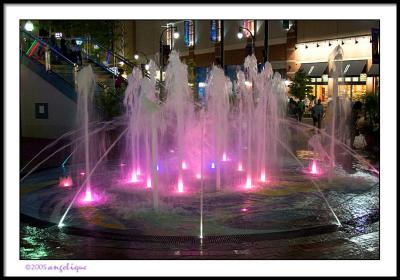 CRW_5586 silver spring wpf.jpg