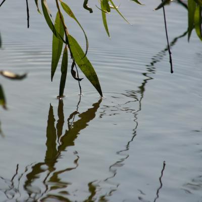 moving trough the water