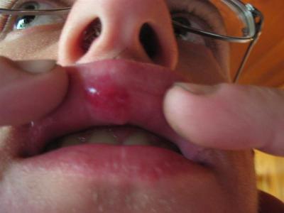 IMG_2362 Medium.jpg