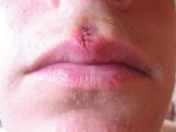 IMG_2360 Medium.jpg