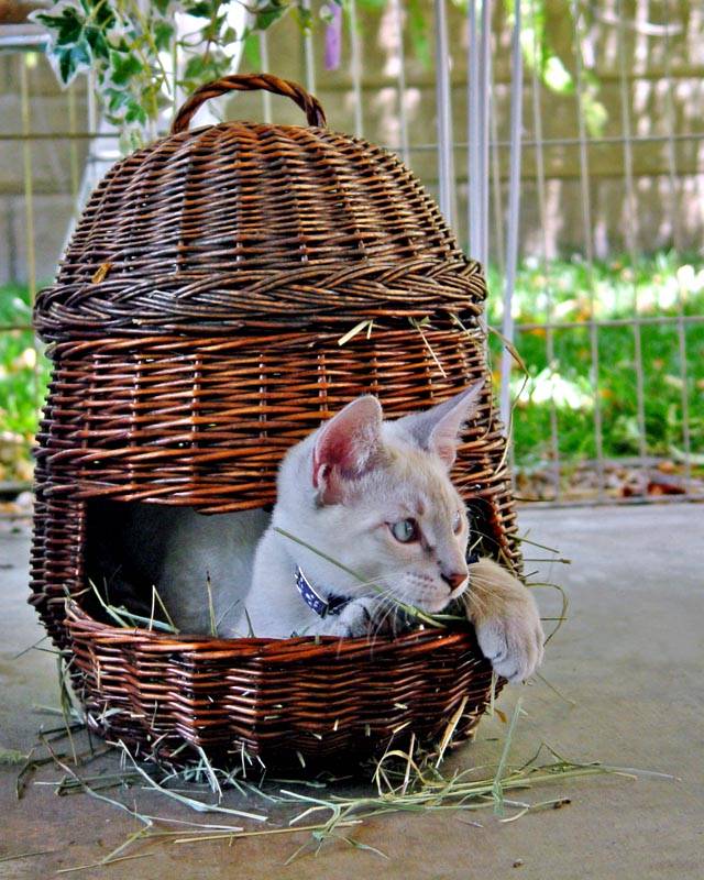 A Nice Place To Sit!