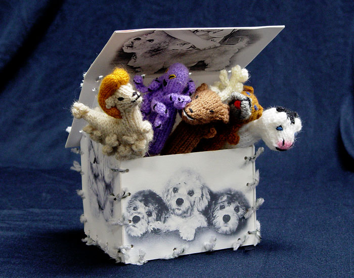Open Card Box