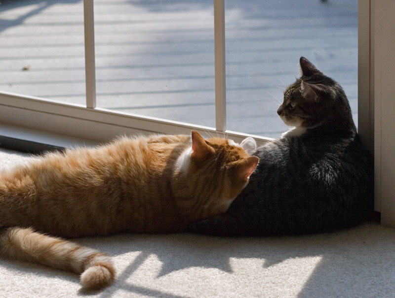 Togetherness