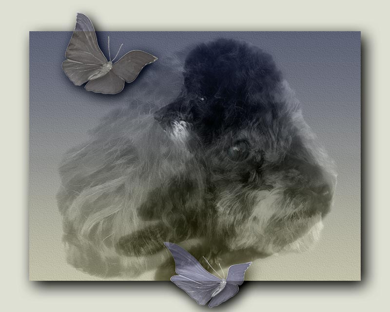 fuzzy on fuzzy