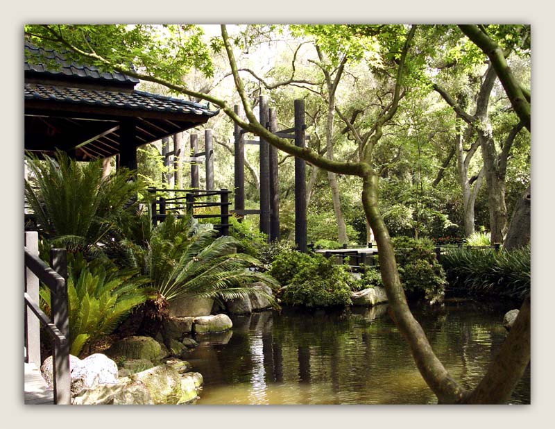 Descanso Gardens, LaCanada, CA