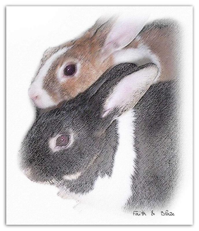 Faith And Blaze