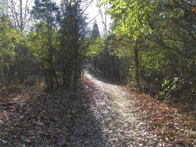 Shining Path at Cox Arboretium