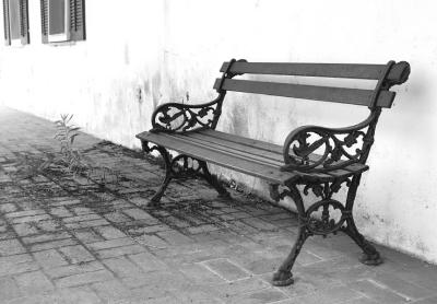  Forgotten Bench