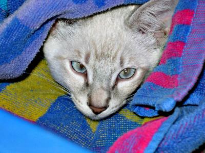 It's Laundry Day Again!