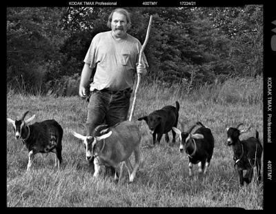 Shepherd
