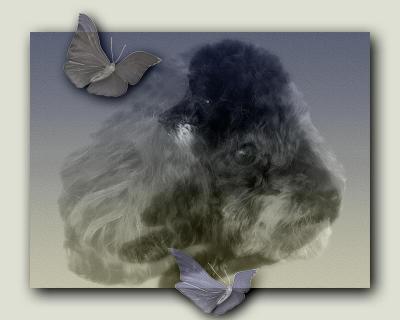 fuzzy on fuzzy