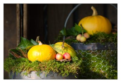 autumnfruits.jpg