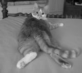 What do you mean - BIG FEET?