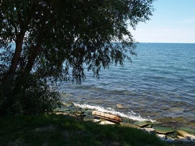 P7319050.jpg