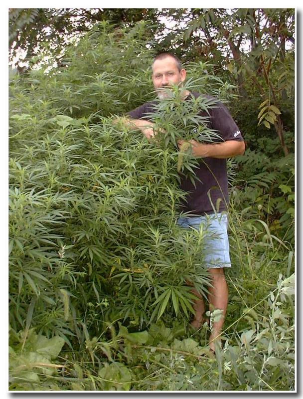 High Times