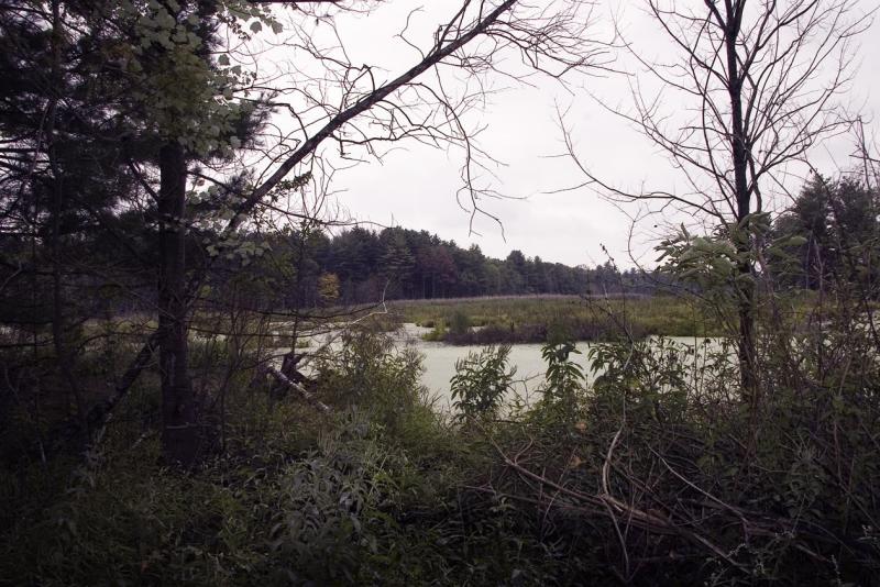landscape from edge of otter alley