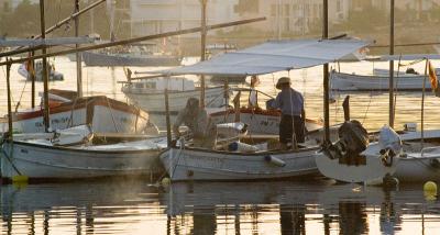 Early morning skippers