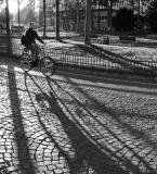 Cyclist in downtown Cologne