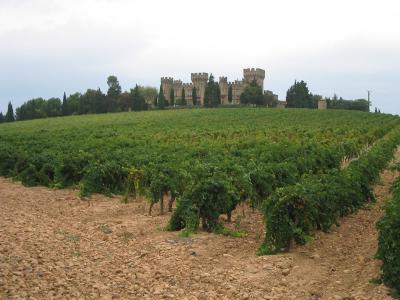Fines_Roches_Chateau.jpg