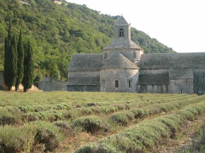 Abbaye_lavender.jpg