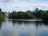 St_James_Park_pond.jpg