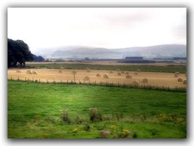 Train Window - Bales