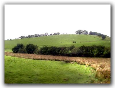 Train Window - Edge of the Field