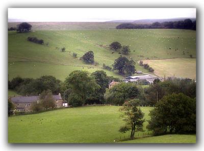 Train Window - Valley