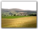 Train Window - Stubble