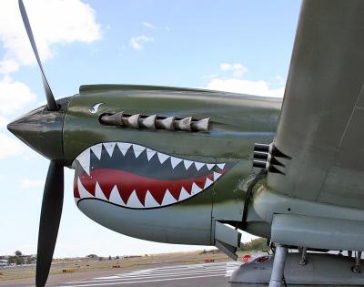 P40 Noseart