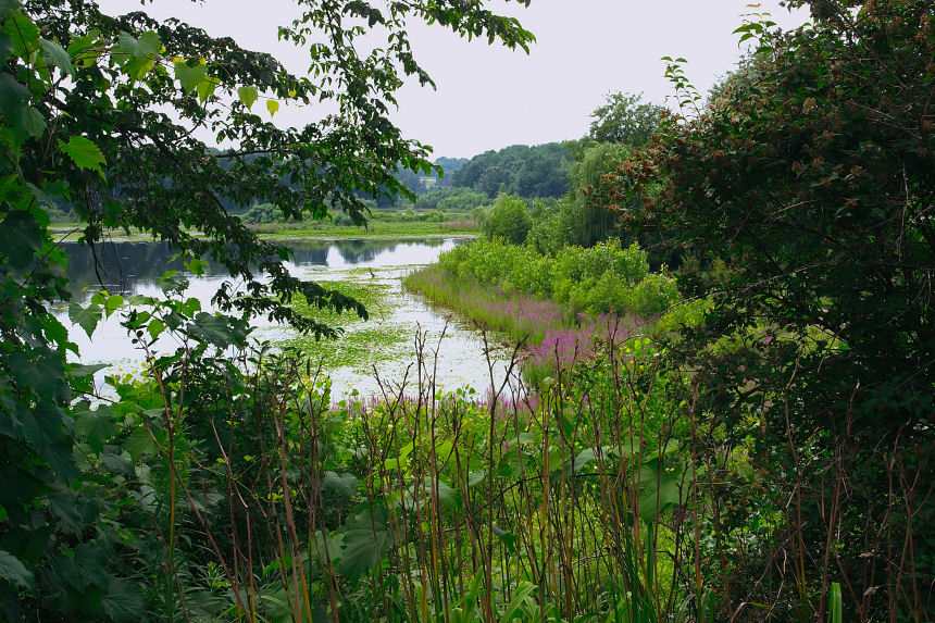 july 21 lake