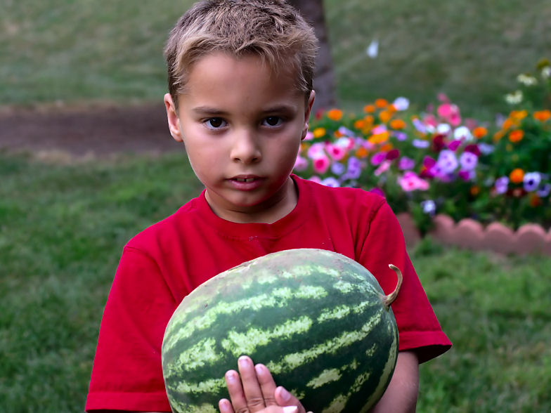 aug 26 watermelon