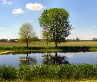 Avalon pond