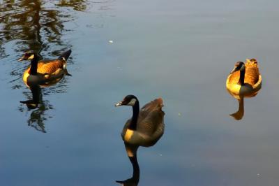 june 23 synchronized