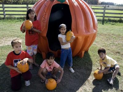 v3/25/544525/3/50842232.oct16pumpkins.jpg