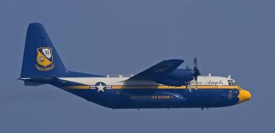r1135.jpg