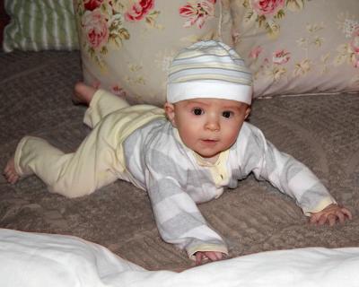 IMG_2939.jpg
