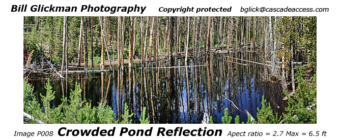 P008  Crowded Pond Reflections