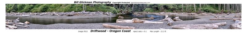 P015  Driftwood - Oregon Coast