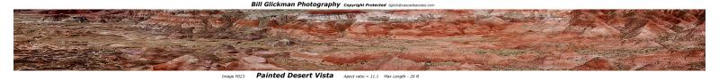 P023    Painted Desert Vista