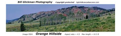 P004  Orange Hillside
