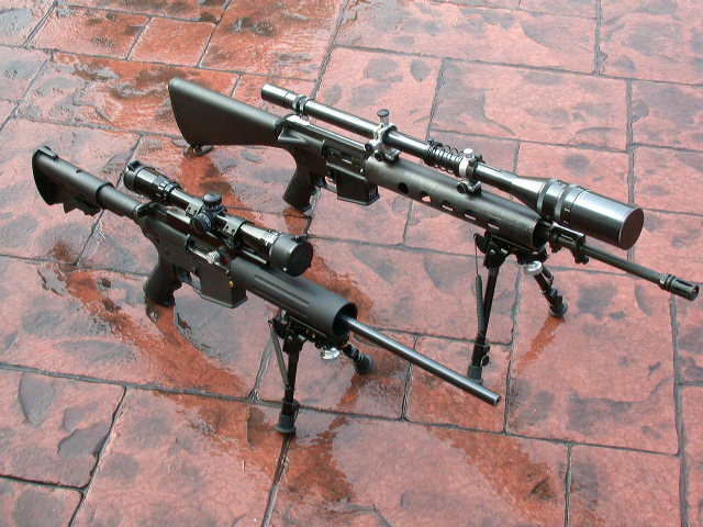 Brother and sister  AR-15s