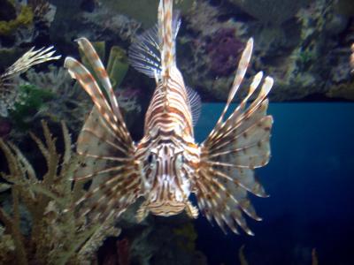 IMG_2970.JPG