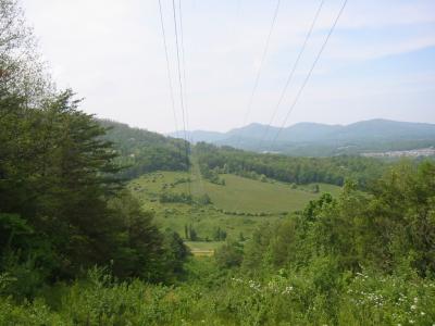 IMG_3011.JPG