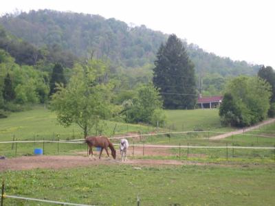 IMG_3012.JPG