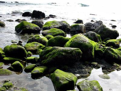 Dana Point ocean side