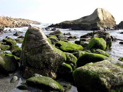 Dana Point ocean side